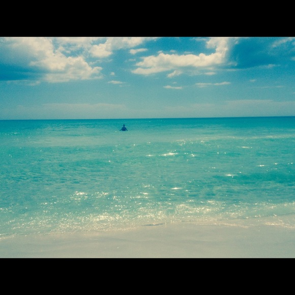 Meet your Posher, Annette - Picture 1 of 1